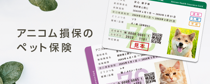 アニコム損保のペット保険